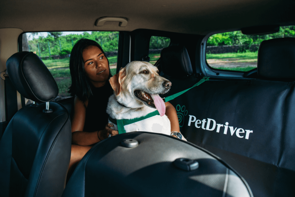 PetDriver